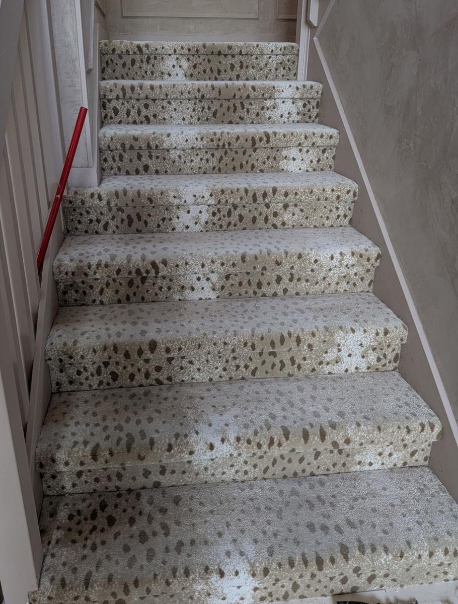 Designer animal-print carpet installed on a staircase in Jacksonville